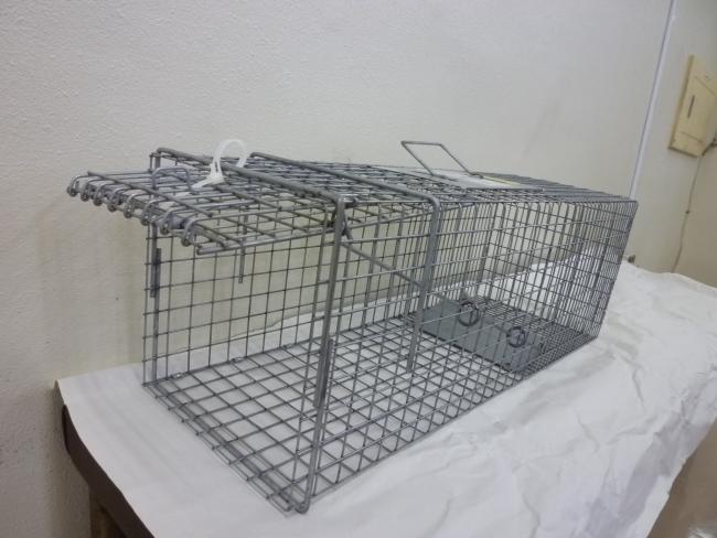 写真：ネコ捕獲器