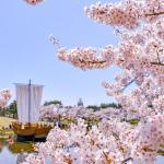 写真：日和山