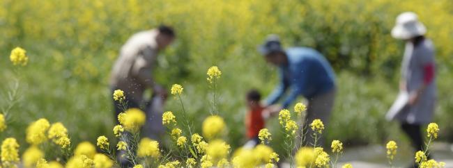 写真：花畑で遊ぶ子ども