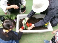 写真:豊島東花植え