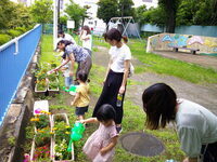 写真:王子東花植え