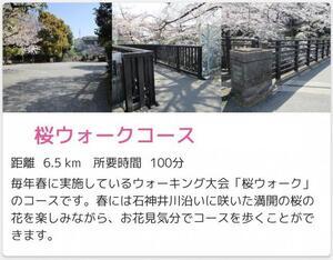 画面：桜ウォークコース