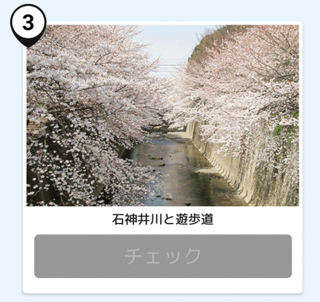 写真：石神井川