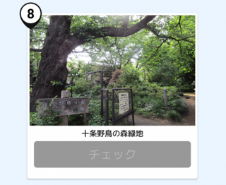 写真：十条野鳥の森