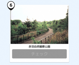 写真：自然観察公園