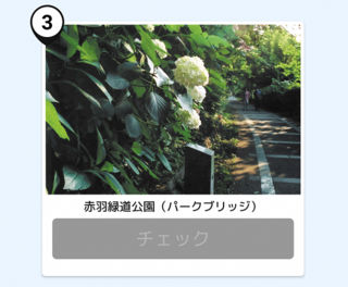 写真：赤羽緑道公園