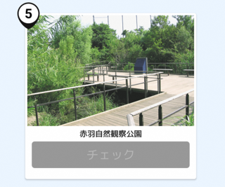 写真：赤羽自然観察公園