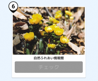 写真：清水坂公園