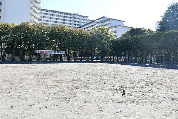 写真：稲付西山公園