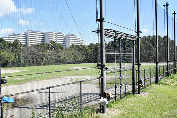 写真：赤羽自然観察公園