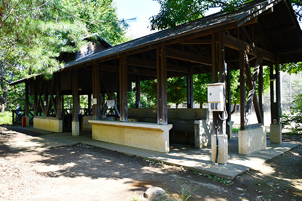 写真：赤羽自然観察公園