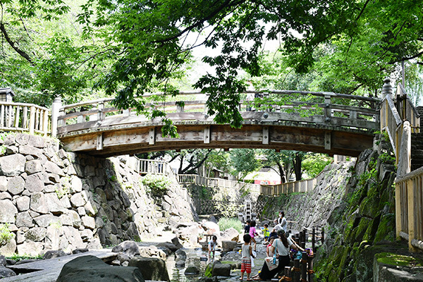 写真：音無親水公園