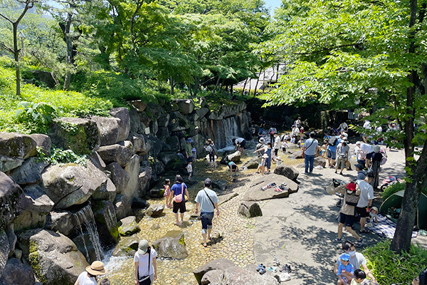 写真：飛鳥山公園
