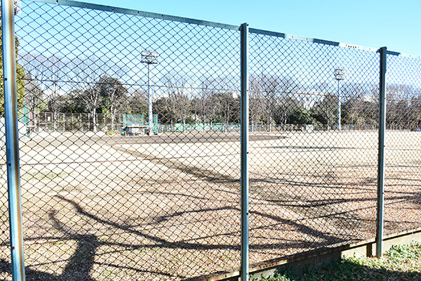 写真：中央公園