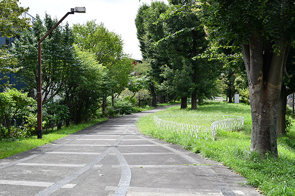 写真：赤羽緑道公園