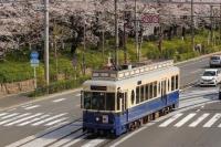 写真:都電荒川線