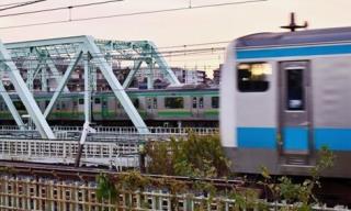 写真:荒川桜堤緑地の土手の上より1