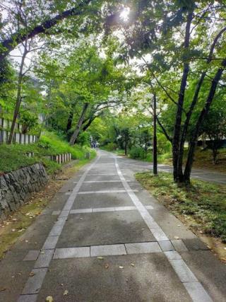 写真:線路を模した道