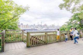 写真:展望広場の高台より
