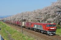 写真:貨物列車(EH500、EH200など)