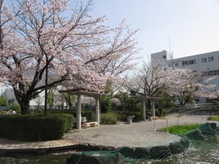 写真：休憩所