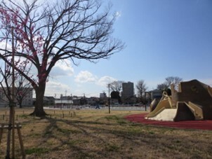 写真：赤羽台けやき公園1