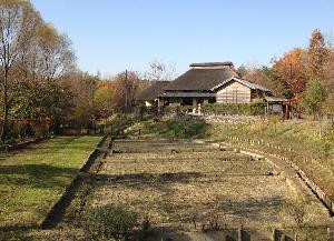 写真：赤羽自然観察公園