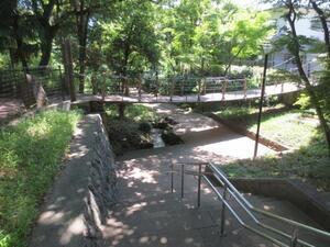 写真：緑地公園（音無さくら緑地）