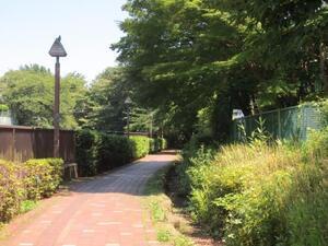 写真：石神井川遊歩道