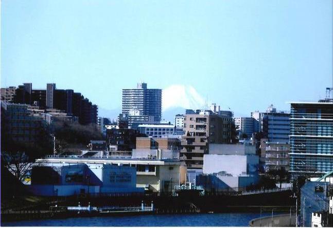 写真：浮間からの富士山