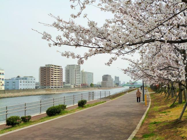 写真：隅田川