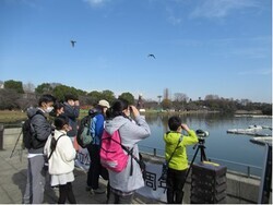 野鳥観察