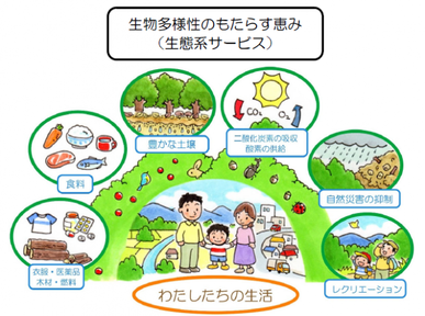 イラスト：生物多様性のもたらす恵み