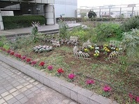 写真：北とぴあ屋上花壇