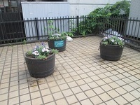 写真：上中里駅前のプランター