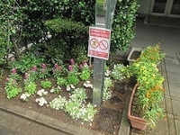 写真：きらりあ北の花壇