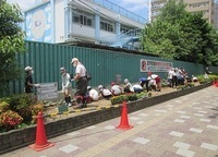写真：滝野川第二小学校脇花壇
