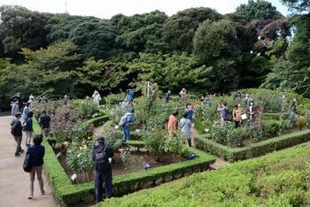 写真：旧古河庭園