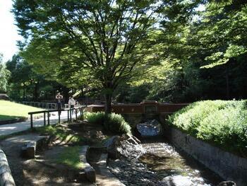 写真：清水坂公園