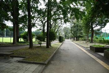 写真：中央公園