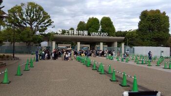 上野動物園での体験学習の写真