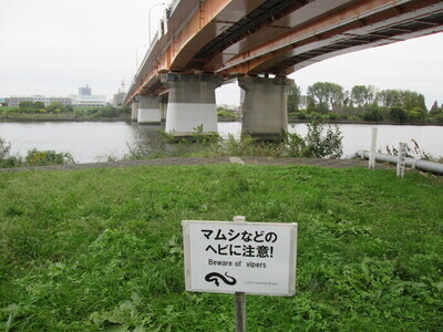 新荒川大橋下の看板