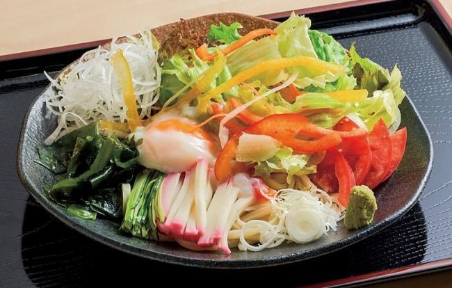写真：冷やしサラダうどん