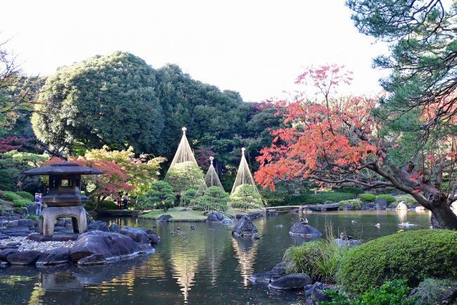 写真:庭園の湖岸から望む風景
