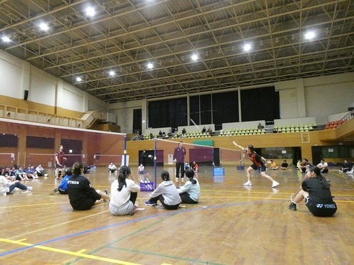 bsdo1