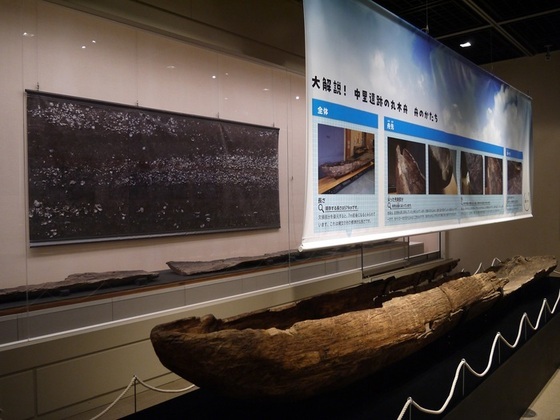 展示の画像