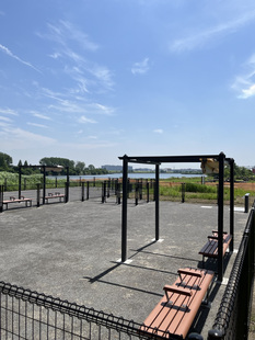 a area