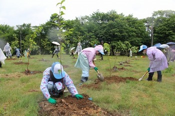 植樹祭の様子 画像