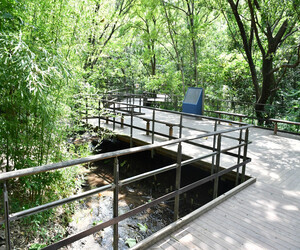 写真：赤羽自然観察公園