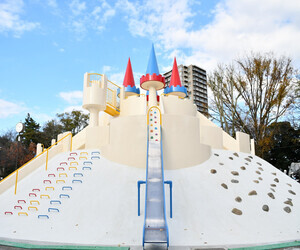 写真：飛鳥山公園